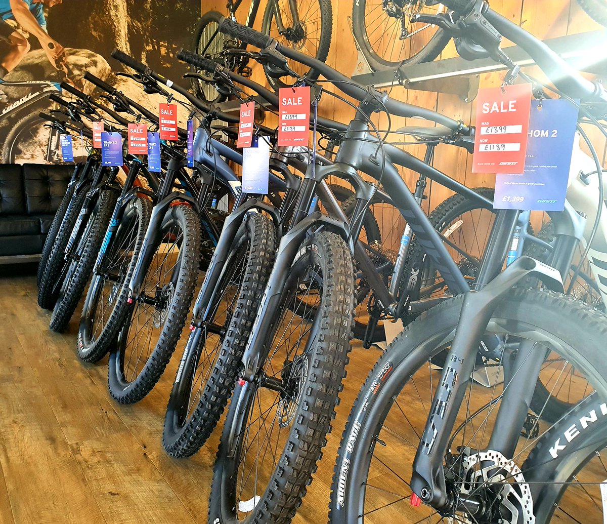 Giant York tweet media