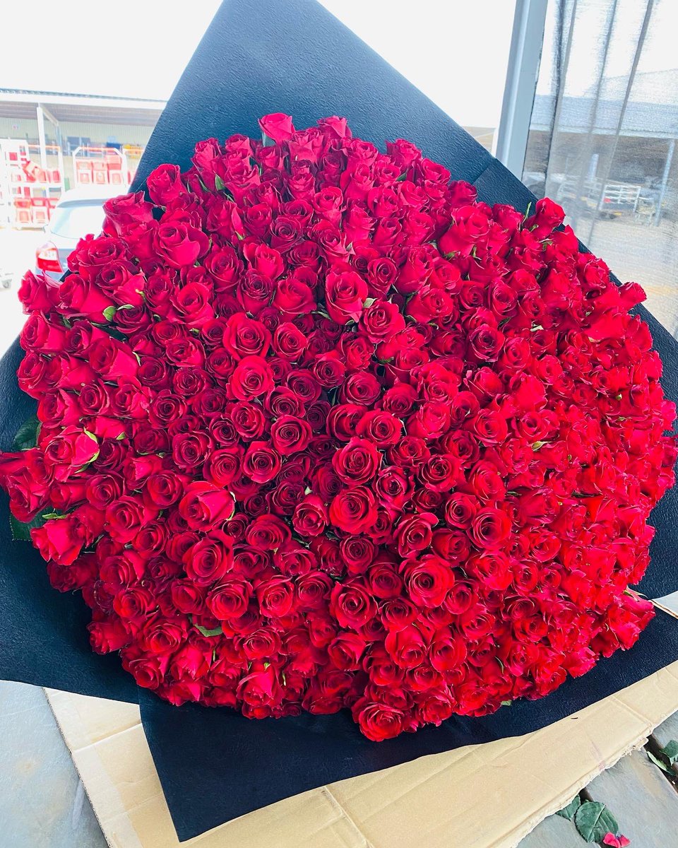 cairotheflorist's tweet photo. thank you for the support NB: free delivery around gauteng 📍instagram:cairotheflorist 📍WhatsApp/call :0658666941.      
#cairotheflorist  #GirlTalkZA #GirlsTalkZA #GirlzTalkZa #CasspervsPriddyUgly #HandsOffJoburg #musa #EFFDefeatsAfriforum #doggy https://t.co/Cqr2RBD694