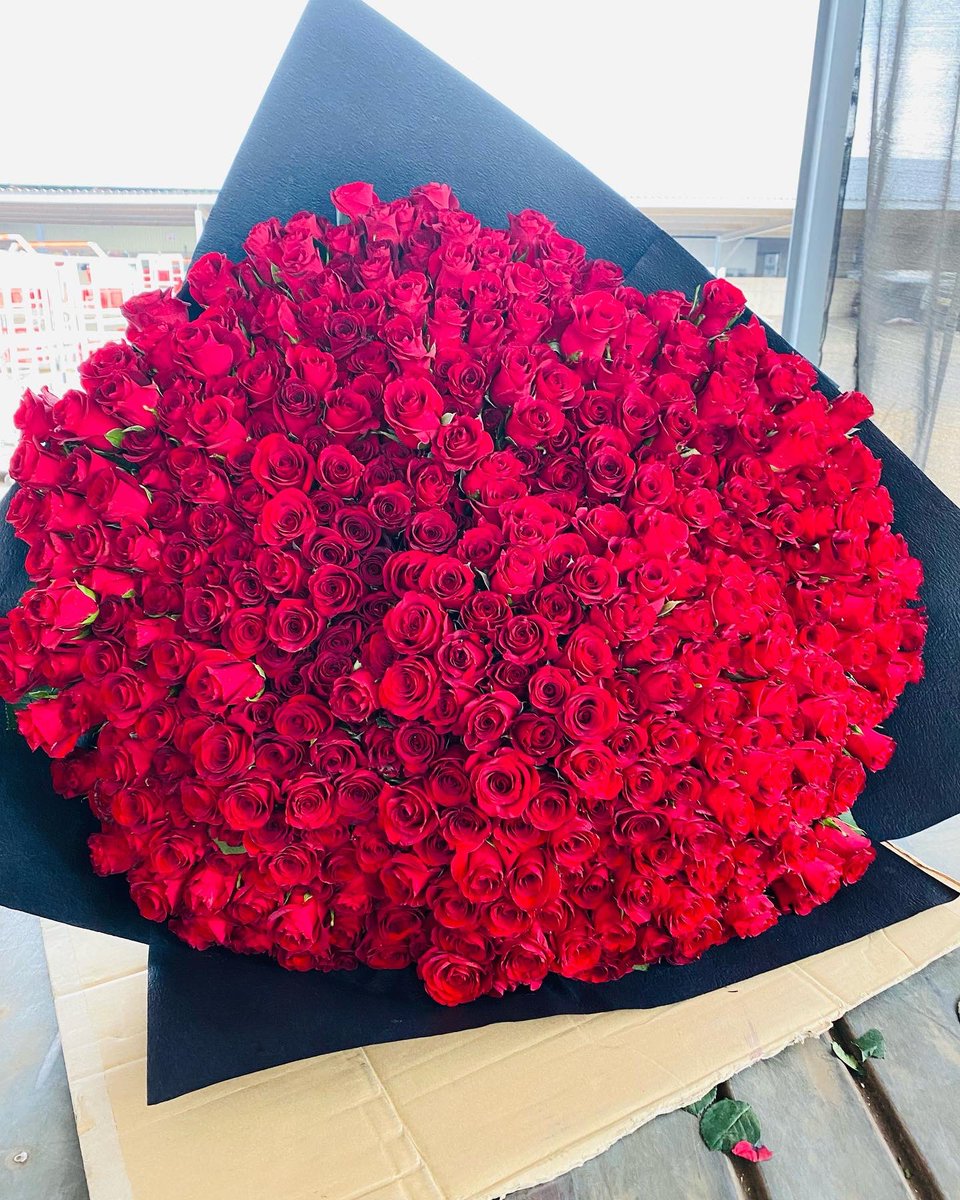 cairotheflorist's tweet photo. thank you for the support NB: free delivery around gauteng 📍instagram:cairotheflorist 📍WhatsApp/call :0658666941.      
#cairotheflorist  #GirlTalkZA #GirlsTalkZA #GirlzTalkZa #CasspervsPriddyUgly #HandsOffJoburg #musa #EFFDefeatsAfriforum #doggy https://t.co/Cqr2RBD694