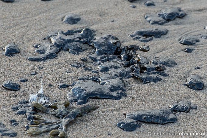 gemeentesd's tweet image. Op de stranden van Schouwen-Duiveland is stookolie aangespoeld. Rijkswaterstaat is reeds begonnen met het opruimen en dit zal naar verwachting enkele dagen duren.
Bij een bezoek aan onze stranden is het advies om boven de vloedlijn te lopen. bit.ly/3BPrekI