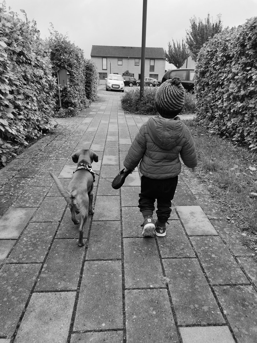 Loftur Gísli (@loftur2) on Twitter photo 