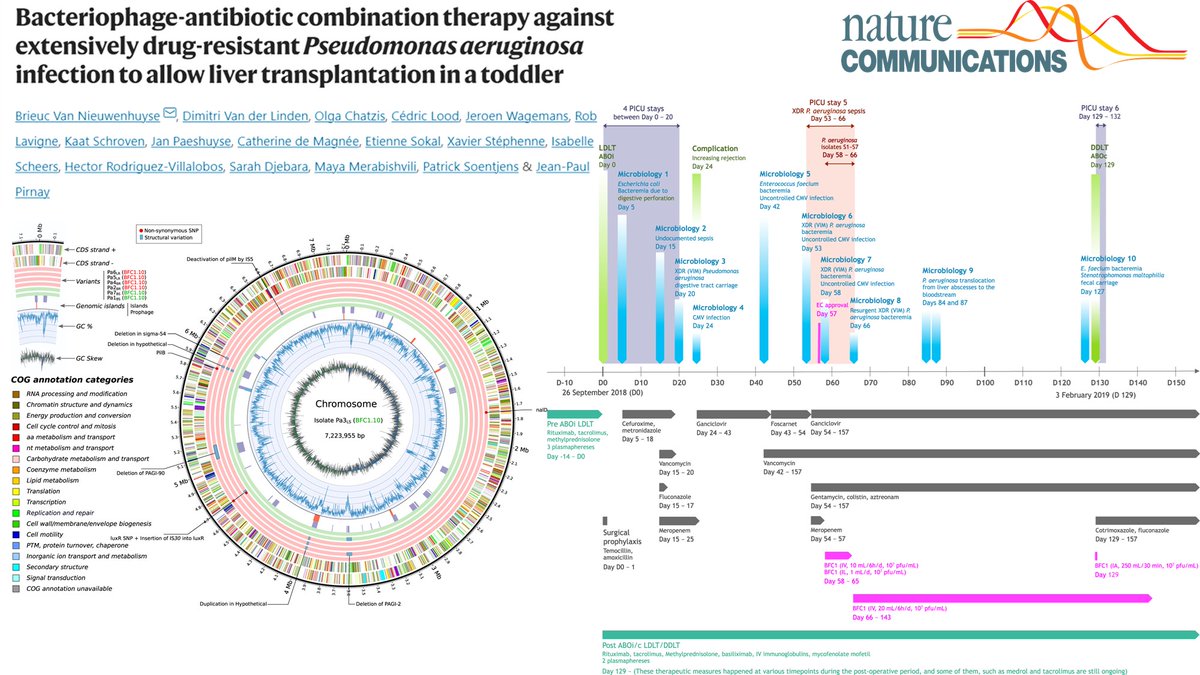 Successful 86day #phagetherapy &amp; AB combination treatment of a young patient #MDR #Pseudomonas sepsis post liver transplantation
Tracking #clinical #immunology #microbiology #virulence parameters
#Research Coordinated by <a href="/PaulPirnay/">Jean-Paul Pirnay</a> 
#article <a href="/NatureComms/">Nature Communications</a>
nature.com/articles/s4146…