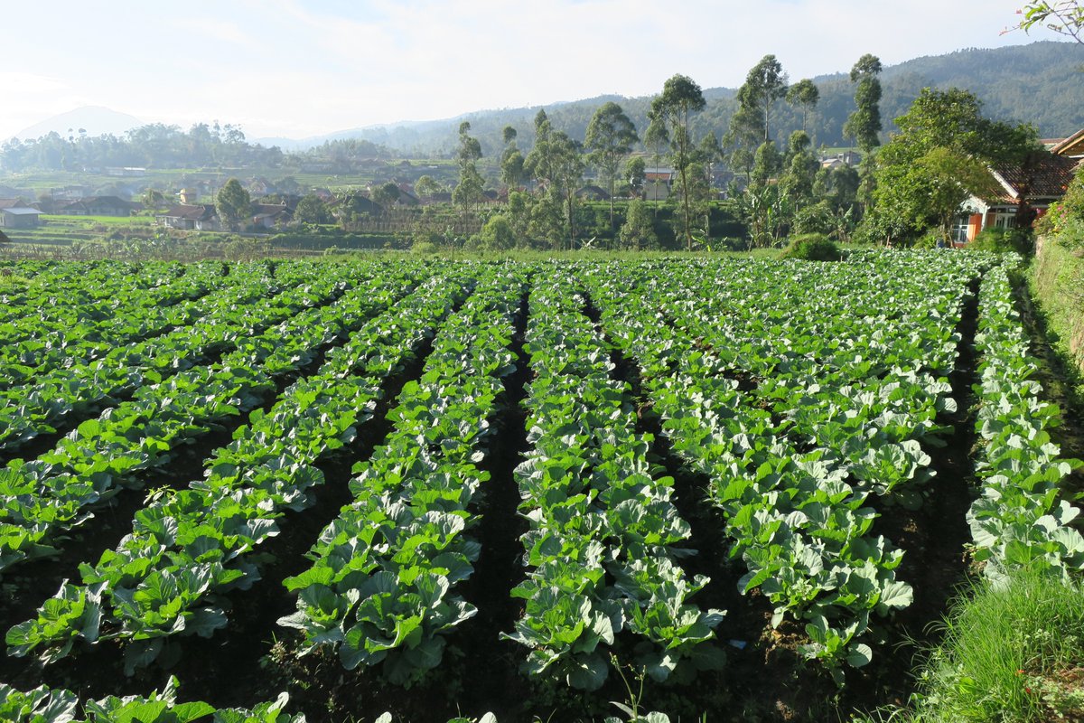 Job! What makes food systems resilient and sustainable? We are looking for an assistant prof to model interactions in food systems, eg between food production and ecosystem service flows under a changing climate:👉bit.ly/3SCNFRi

<a href="/ESPartnership/">Ecosystem Services Partnership</a> <a href="/YESS_Network/">YESS</a> <a href="/GlobalLandP/">GLP</a>