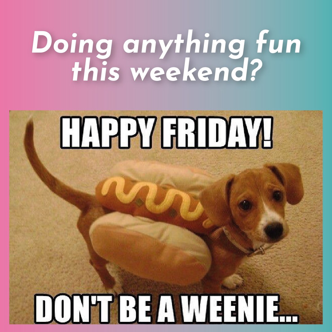 Happy Friday ya'll! 🐶👀

.

Tag a weenie fan😬 🌭 

.

#petvideos #funnypetvideos #funnydog #funnydogmemes #petsofig #dogsoftheday #puppy #dogaddiction #goldenretriever #doglife #puppylove #welovepets #puppyeyes #cutedoggos #fundog #cutestpuppyever #custompetart