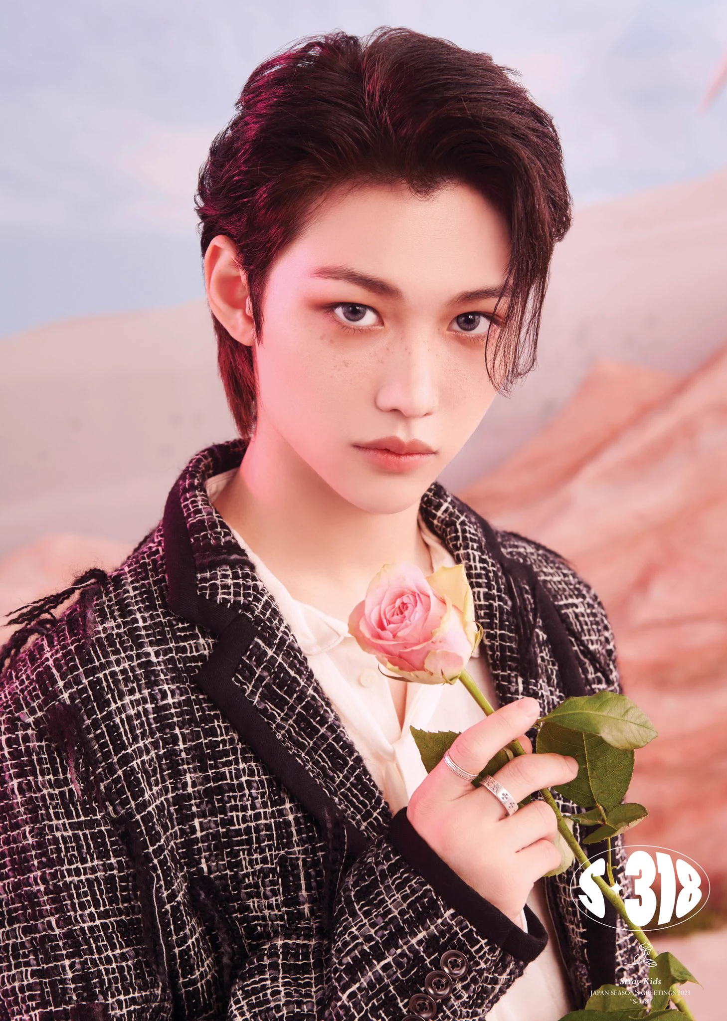 Stray Kids Japan Official on X: 