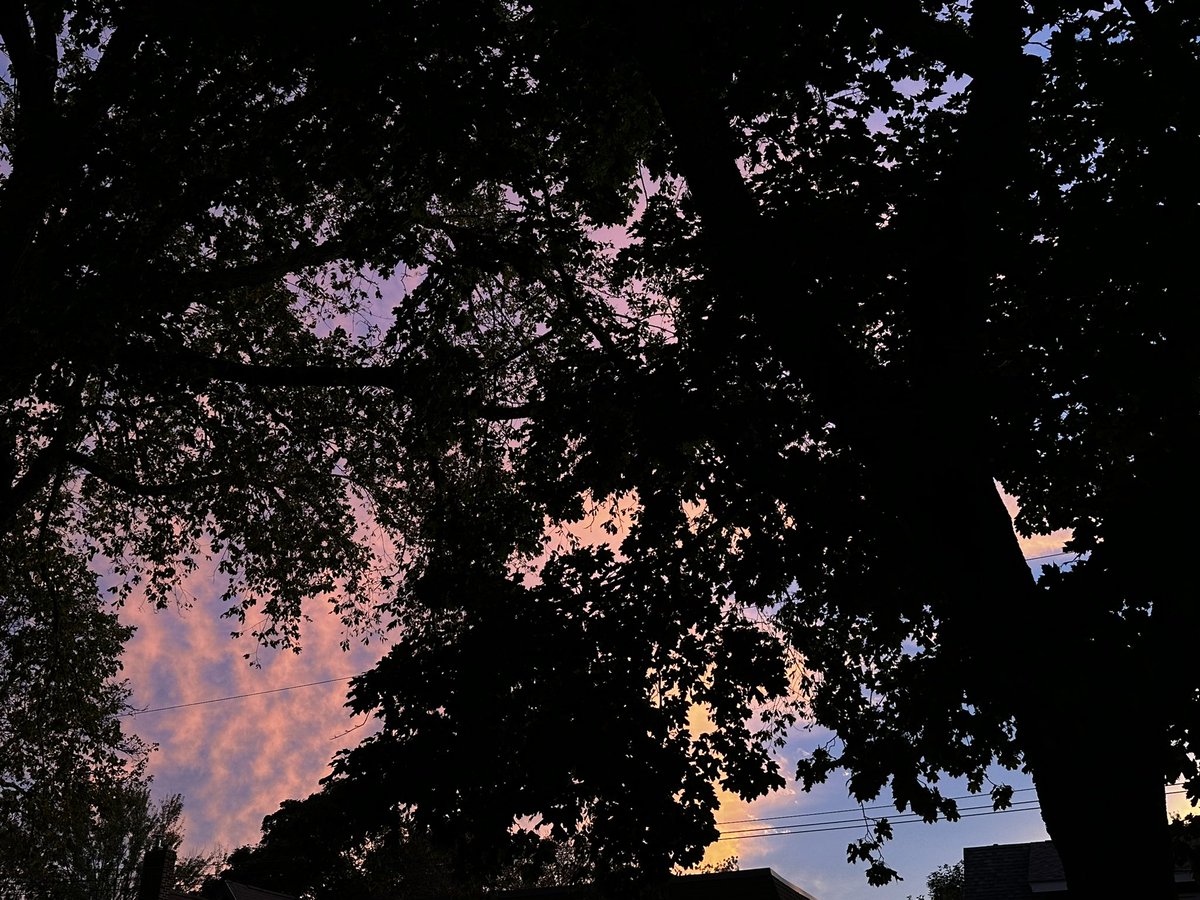 Halifax sunsets are the best sunsets.