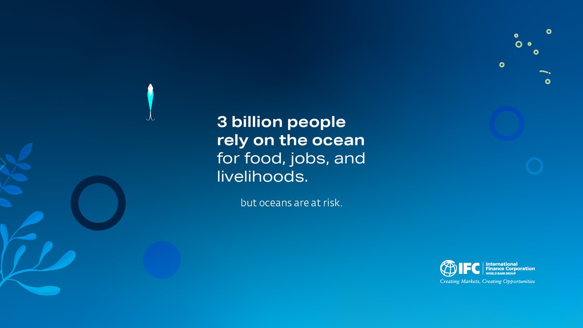 3 billion people rely on the ocean for food, jobs &amp; livelihoods. Keeping our marine ecosystems healthy is not just good for the environment and addressing #ClimateChange, it is directly linked to alleviating poverty. 

Learn about #BlueFinance: wrld.bg/fZuX50KVkCN #IFCclimate
