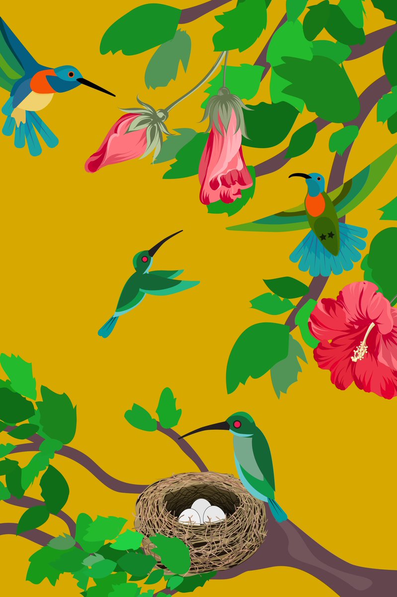 rowhite211's tweet photo. My latest illustrations: “Melissa’s Hummingbirds 2022” 
https://t.co/fQxSxSnrAS https://t.co/BNRgpCMiBO