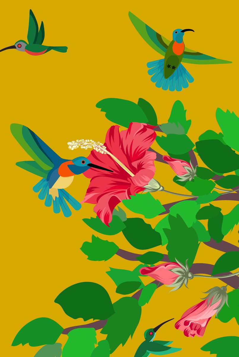rowhite211's tweet photo. My latest illustrations: “Melissa’s Hummingbirds 2022” 
https://t.co/fQxSxSnrAS https://t.co/BNRgpCMiBO