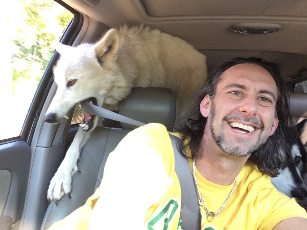 OlivrTheWolfGuy's tweet image. Yeah, this really happened. #WolfBehavior