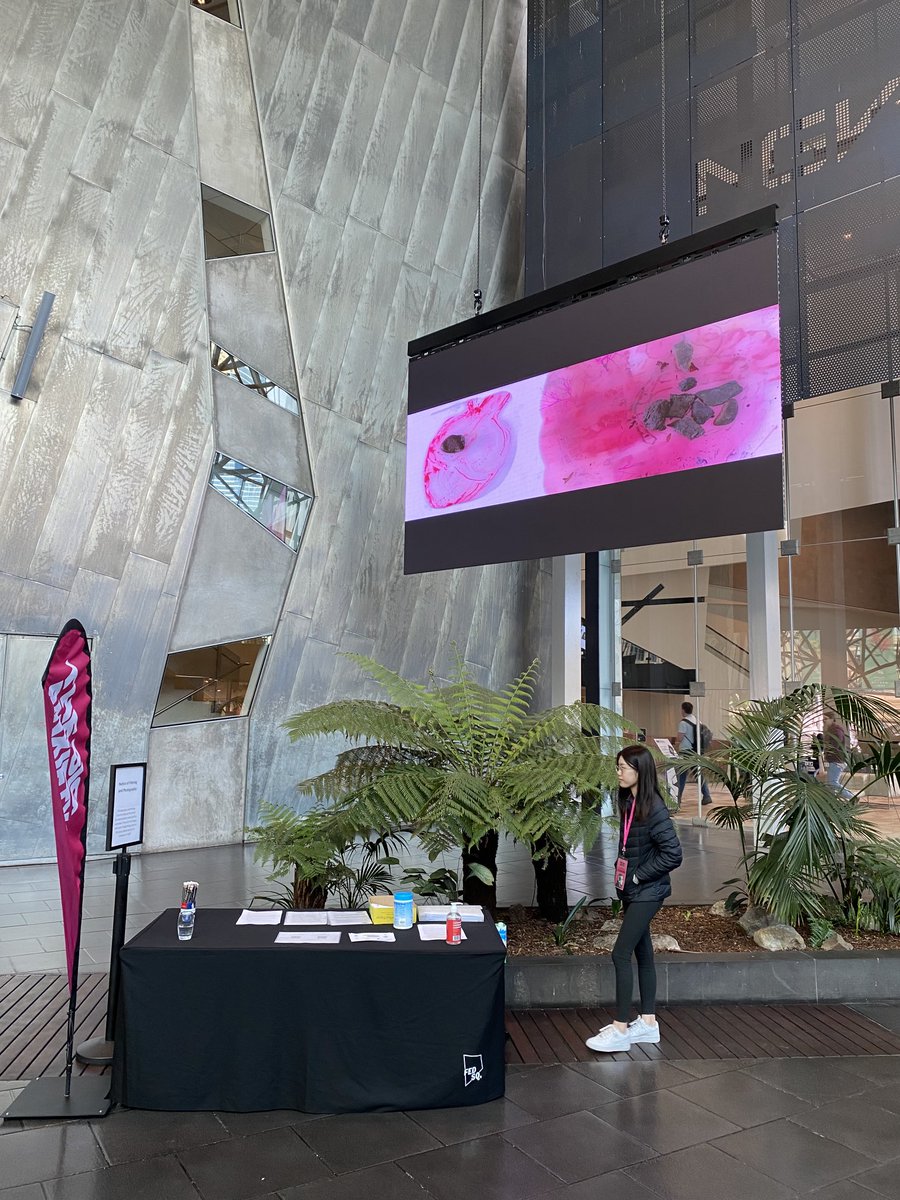 Jill_TBA's tweet photo. Anita Glesta’s visceral animation #unnerved is stunning in @FedSquare @thebiganxiety. Hear from the artist on site all day tomorrow (and read her great piece in the Big Anxiety book https://t.co/1RcU71Q6uu