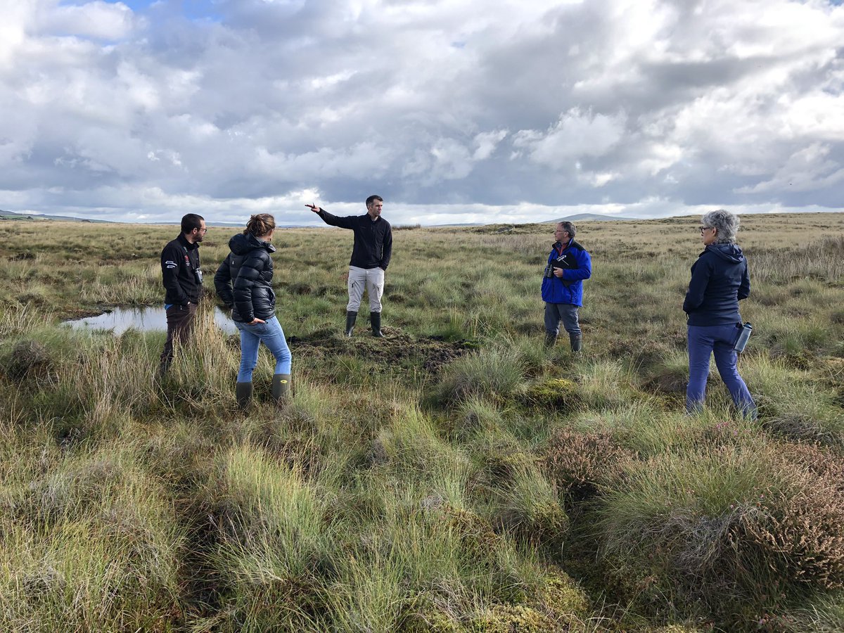 What a beautiful place, thank you for looking after us and showing us the #peatlandrestoration @RSPBCymru