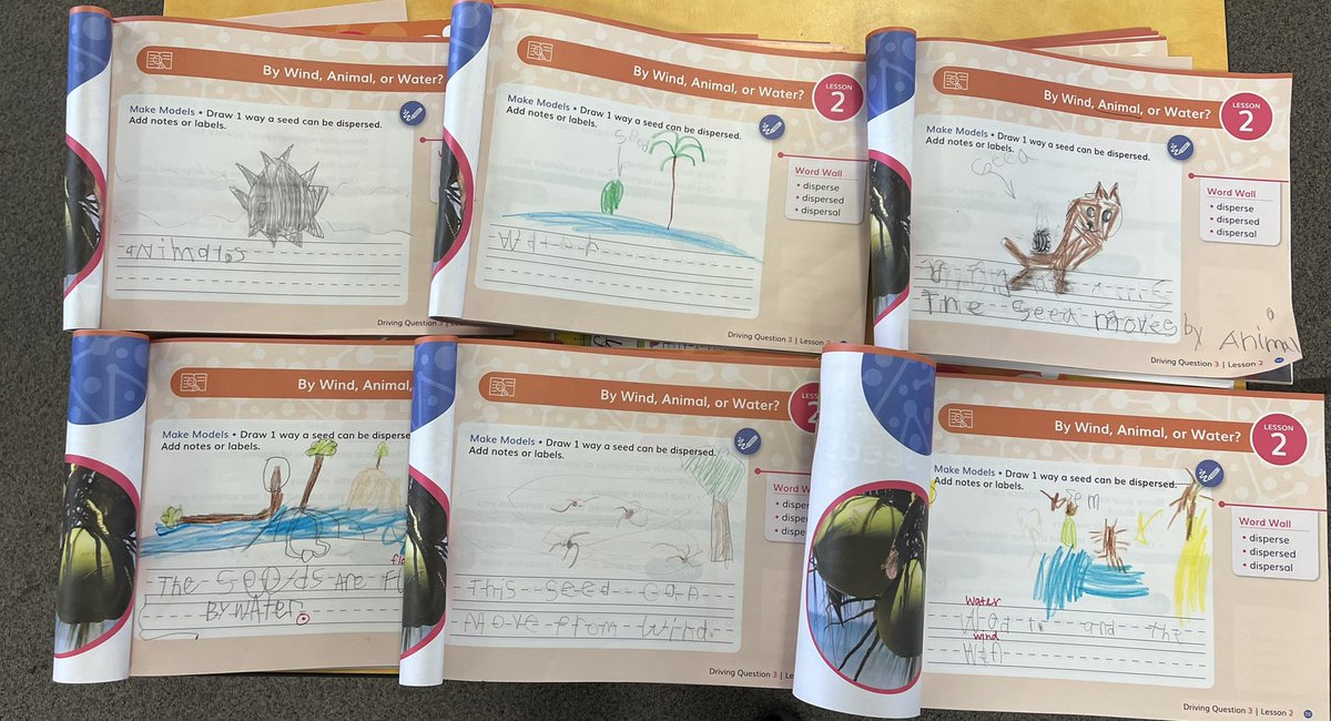 ThinkingThurley's tweet photo. Seriously, blown away (floated away or carried by animals) by my students knowledge about seed dispersal! Growing scientists, and I was worried I didn’t have a green thumb ��🌴🍃🌱🌿🌼🌵🌳🌸🌻 #teamBCSD @OfficialNGSS #thinkers #teamcollegeheights🐾  @TwigScience @CHeightsCougars https://t.co/2cgReI5Eeg