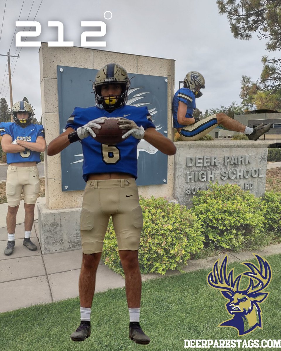 DPHS STAG FOOTBALL tweet media