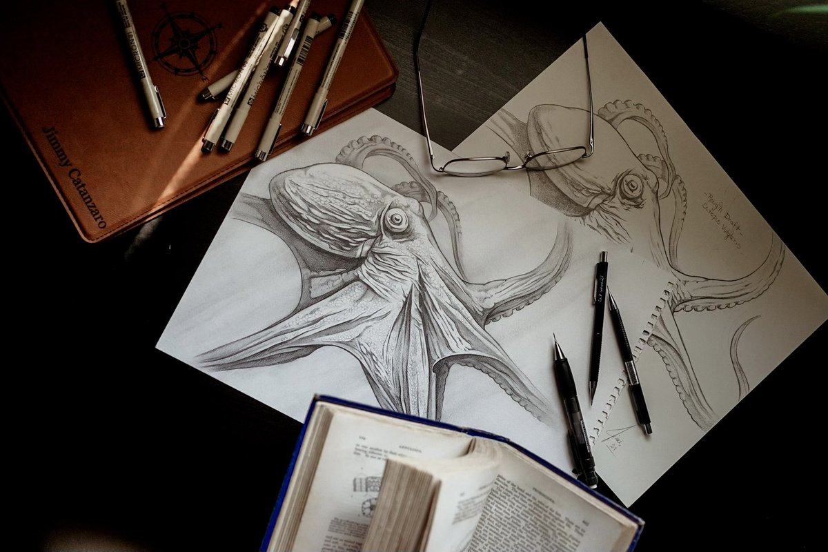 Retweet if you love to draw.  #marinebiology #sea #seacreature #sealife #kraken #squid #seamonster #science #art #artist #artwork #ink #coloredpencil #illustration #illustrator #paleoart #marinelife #cephalopod #scientificillustration #octopus