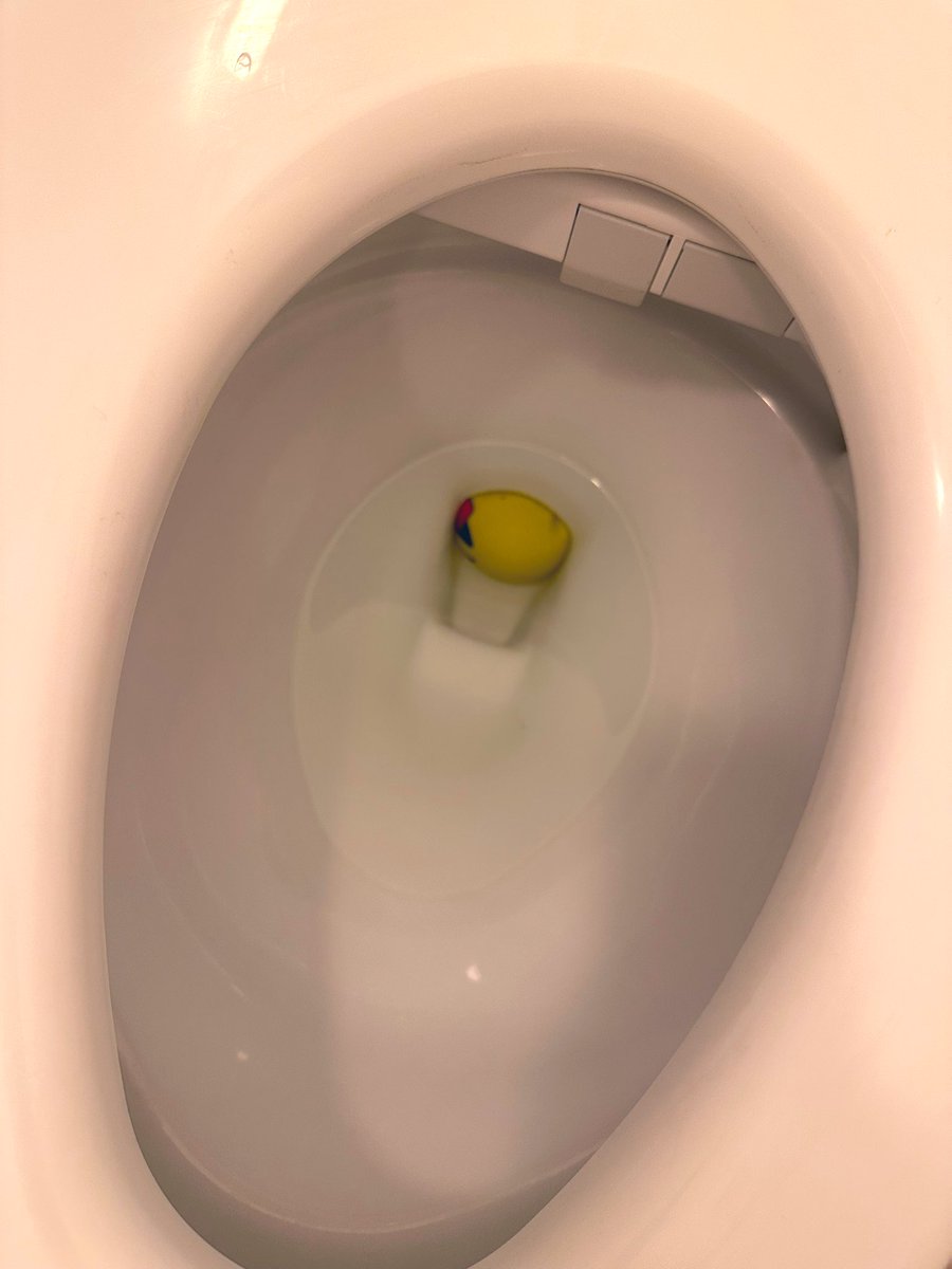 ai_mitoma's tweet photo. 誰や便器にボール詰めたの�� https://t.co/yECVQWjct2