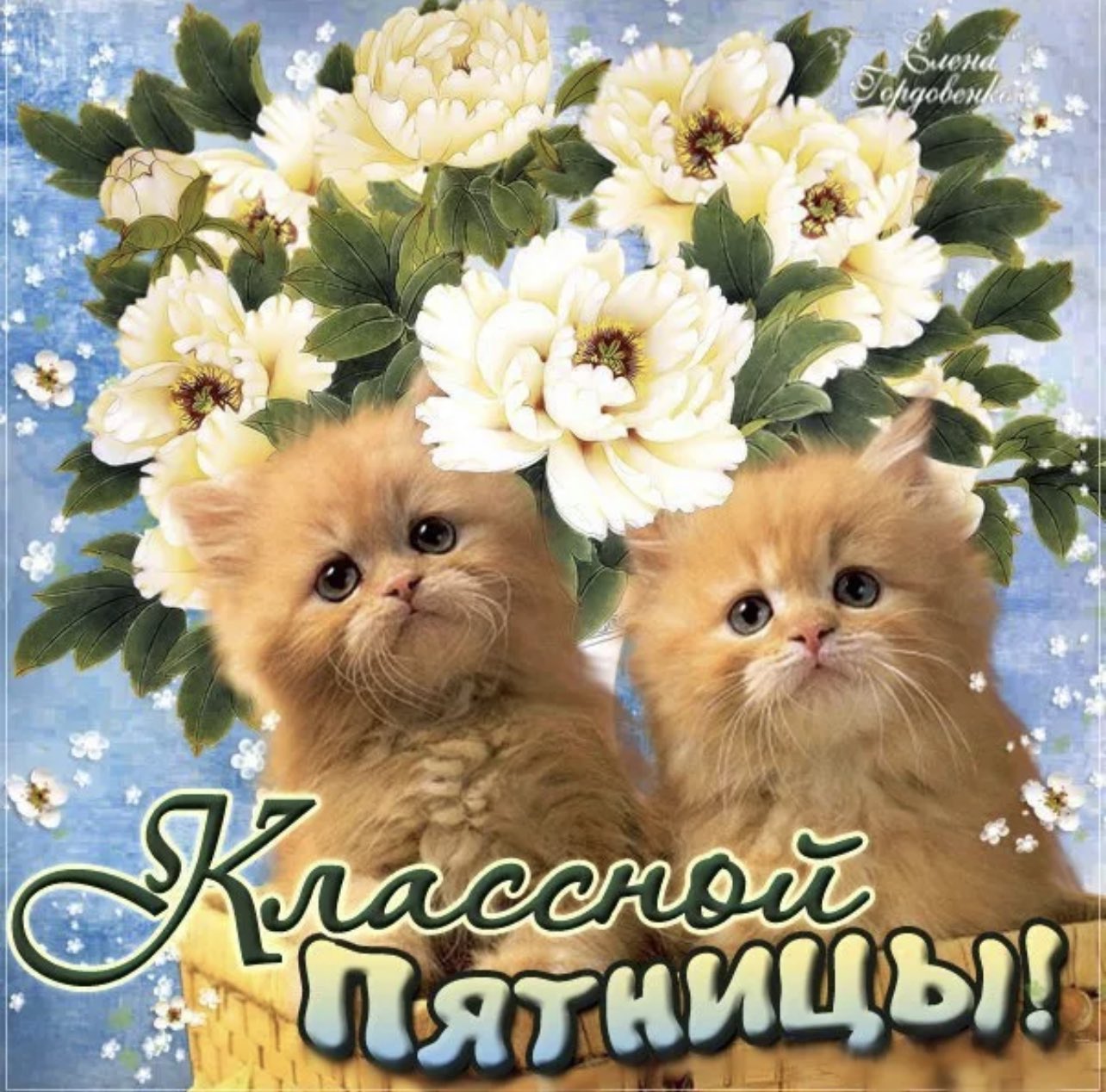 Отличной пятницы