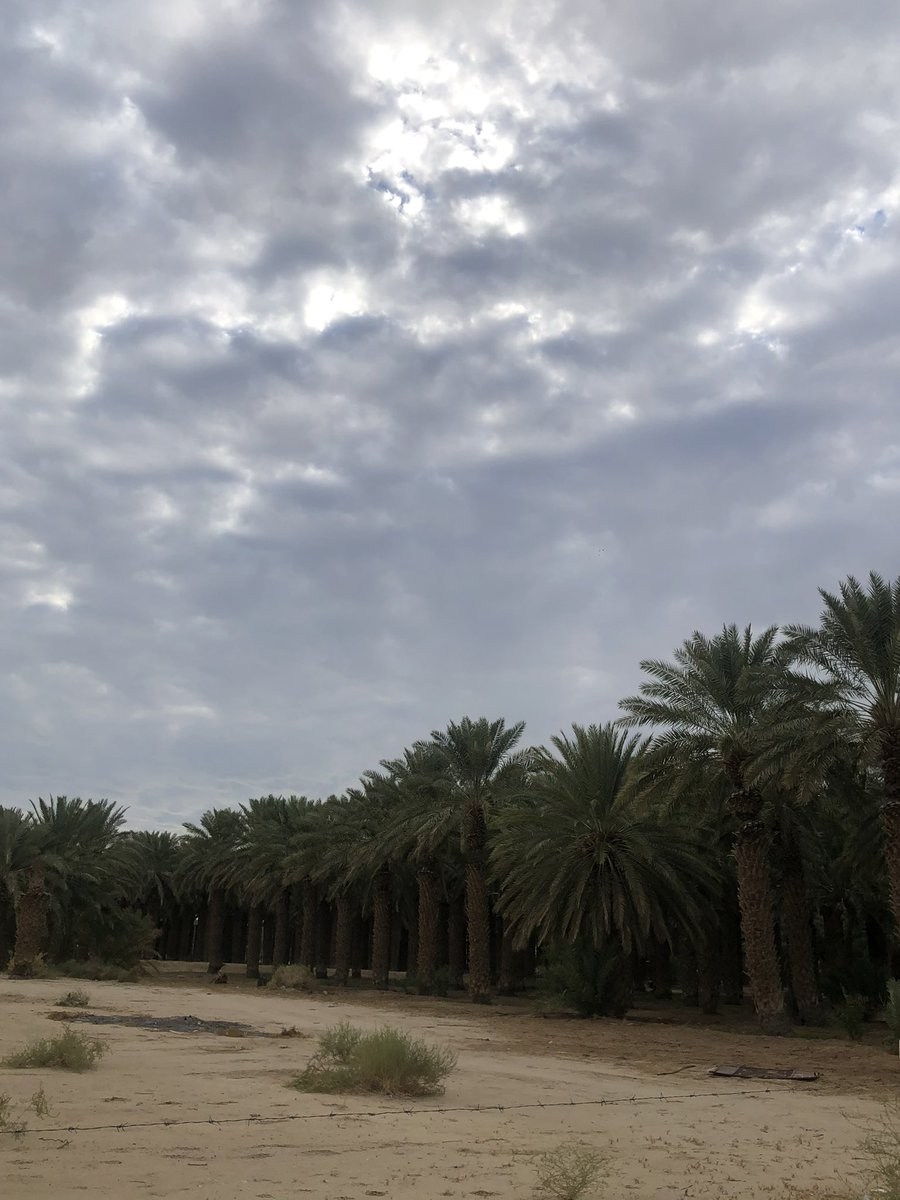 u11uj's tweet photo. من المزرعه صباح الخير عليكم✋🏻  ويازين الاجواء الحلوه 🤍🤍 https://t.co/u45zR8Bp5S