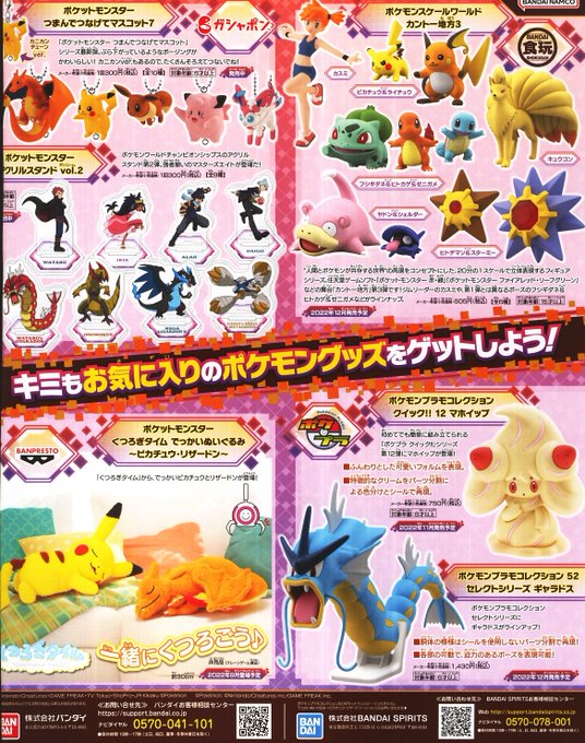 ポケモンファン 第80号』を購入しました。これから発売される