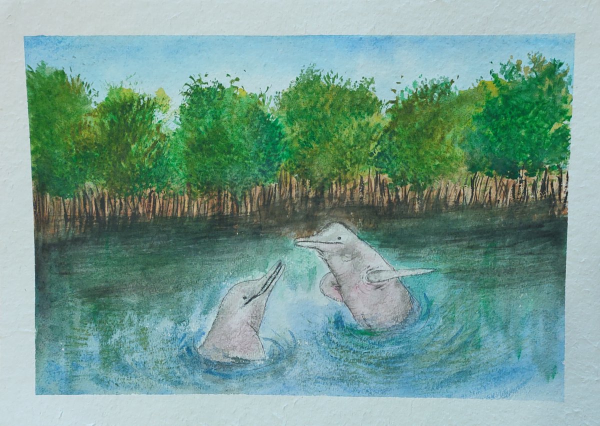 South Asian River #dolphin or Gangetic dolphin is found in the Ganges basins and other rivers of South #Asia which flows in the countries of India, Bhutan, Nepal &amp; Bangladesh. It is national #aquatic animal of #India. Artwork by Anadi Sharma via instagram.com/lets.revive.hu…