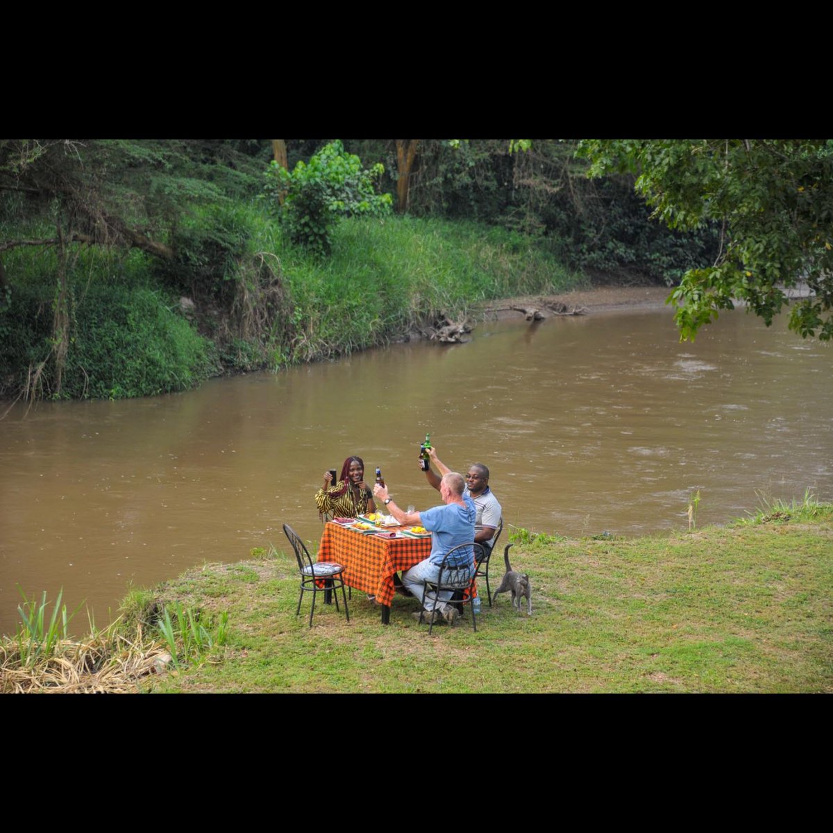 Lunchtime by the river...
#peterhogel #bullbushrivercamp #safari #photography #Uganda #photographysafari #ishasha #VisitUganda #ugandauncovered #wildlifeaccommodation #river#riverlife #poolsideoflife