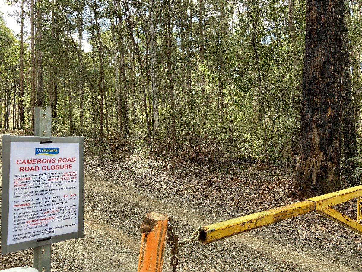 merri_forests tweet picture