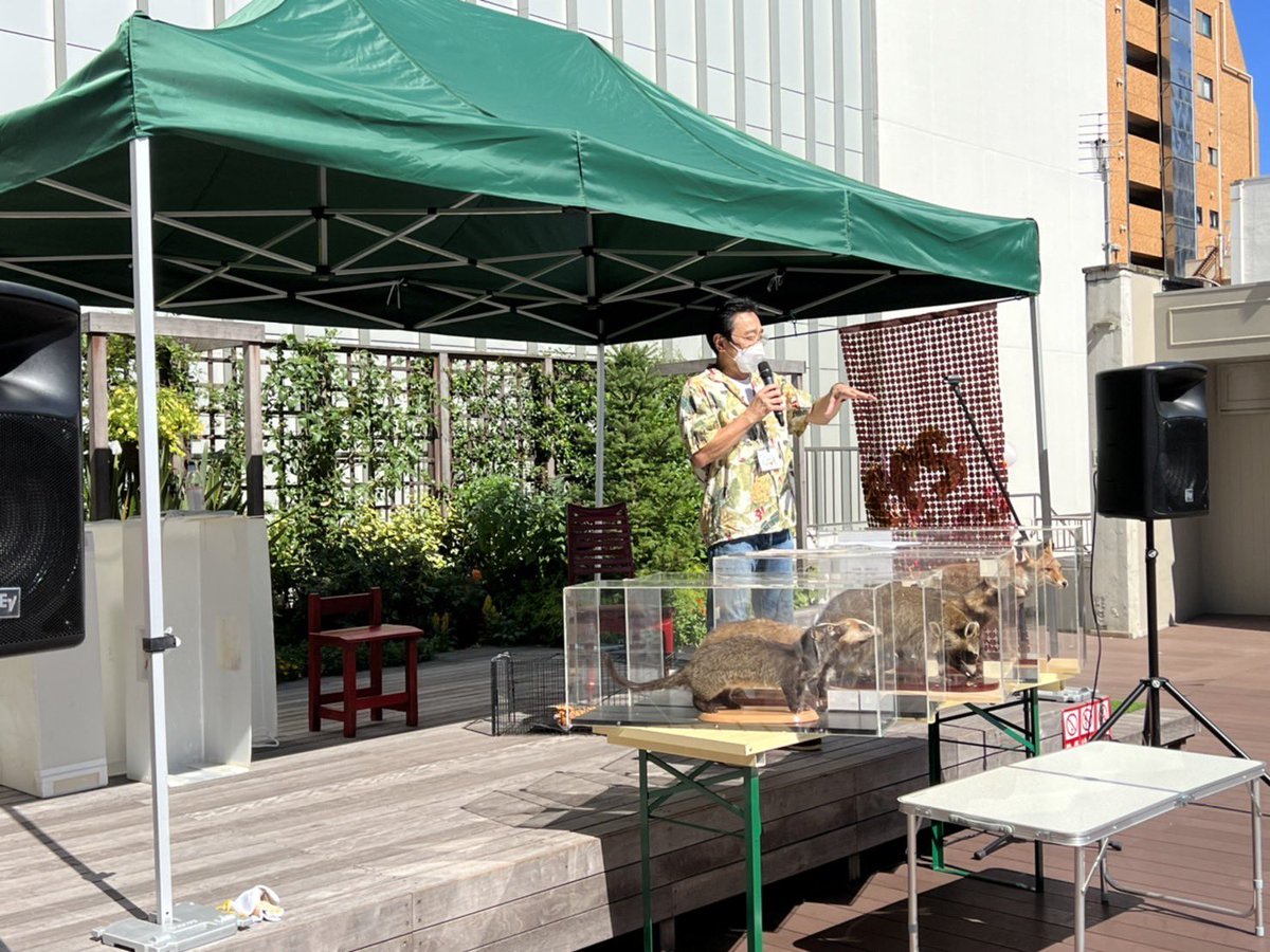 kichijojichair's tweet photo. Team299(にくきゅう)のイベント「DOGフェスin吉祥寺」が日曜に吉祥寺コピス前で開催されました。赤い椅子プロジェクトの赤い椅子もワンちゃんたちとコラボ。少しでもその場に彩りを添えられたら良いな♪ Team299さんとは2回目のコラボ。ありがとうございます！ #team299 #吉祥寺 #赤い椅子プロジェクト https://t.co/zPo5an9e3m