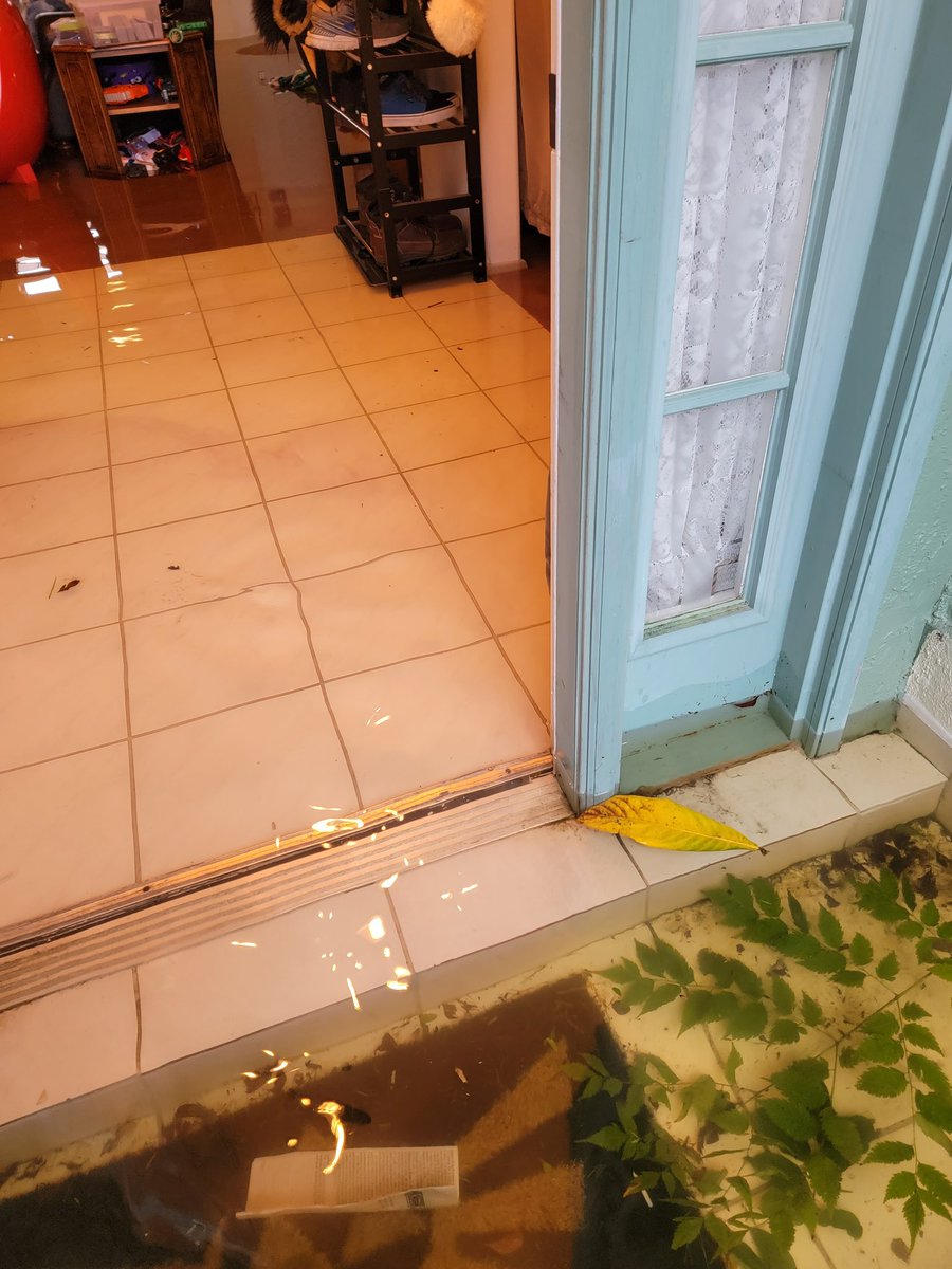 Wildmark_Lion's tweet photo. House got flooded by Ian v. .v https://t.co/WNbjiuCXXt