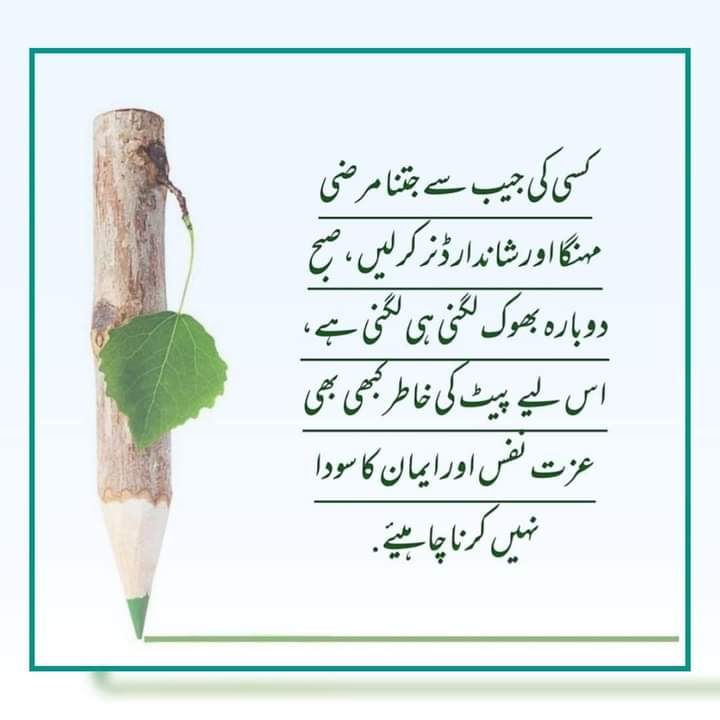 FatimaAyat4's tweet photo. السلام علیکم!
صبح بخیر🌴

جمعہ مبارک۔۔۔۔ 💚 https://t.co/3X7ujCrCdw