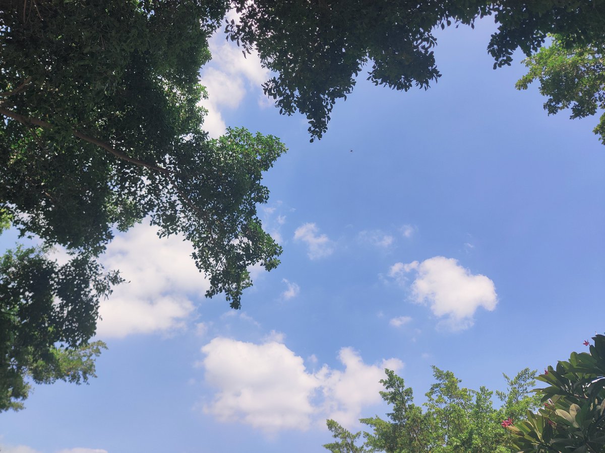 yeting925's tweet photo. https://t.co/HtDSMPsoqt