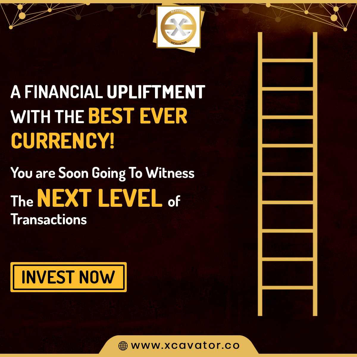 Xcavator International tweet media