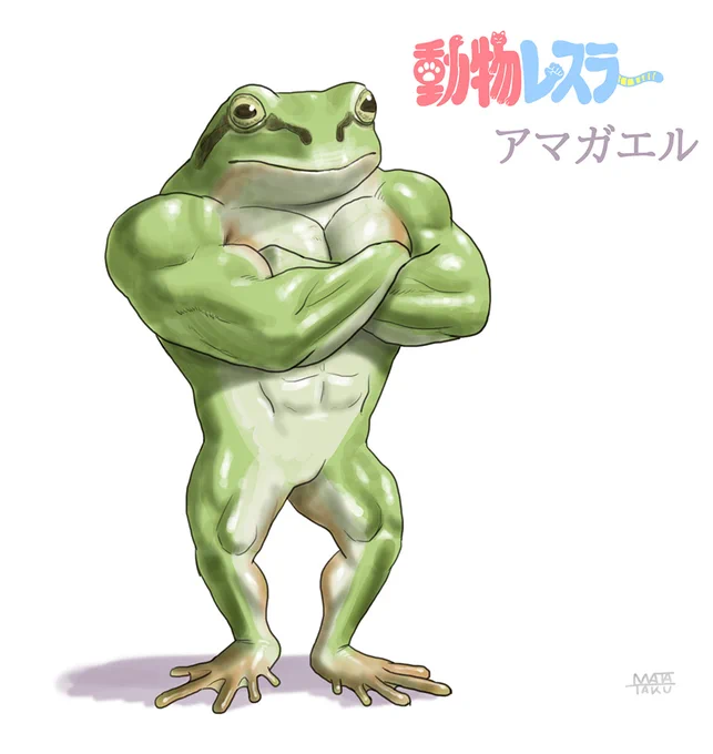 アマガエル。#動物レスラー 