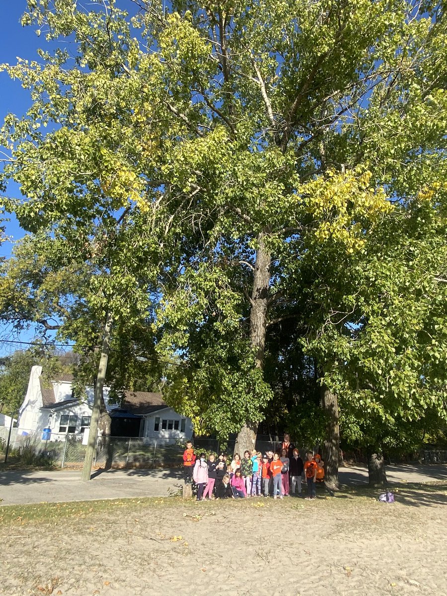 SSESRoom115's tweet photo. We are so excited to watch “our tree” grow and change through the seasons. 🍃🌳🍂 https://t.co/pDbRfQerv3