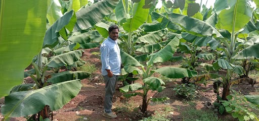 JainIrrigation's tweet photo. Standing amidst prosperity with a big wide smile!
Yes he is a #JainFarmer π§βπΎπ
#fridaymorning #JainIrrigation #BananTC #TissueCulture #TC #JISL @JainTissueCrops https://t.co/U7MnRvaQRj