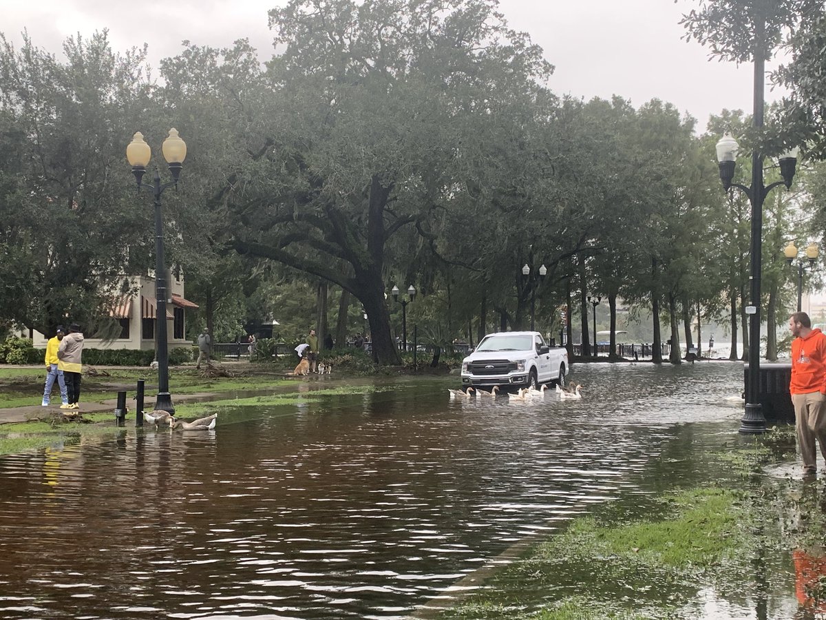 rva1781's tweet photo. Downtown where I live. Lk Eola in the heart of the city. All of this was road and walkways around the lake until it breached. The swans &amp; geese are pretty happy https://t.co/XdinPGn8HL