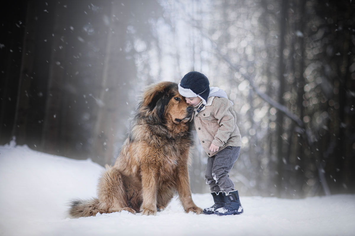 Dan_nelson12's tweet photo. My dog winks at me sometimes, and I always wink back in case it's some sort of code.☺☻♥ @Dan_nelson12 

#dogsarethebest #dogslife #dogs #dogslover #dogsarefamily #dogsoftwitter #joypetproducts #love https://t.co/dAgbRaNXy4