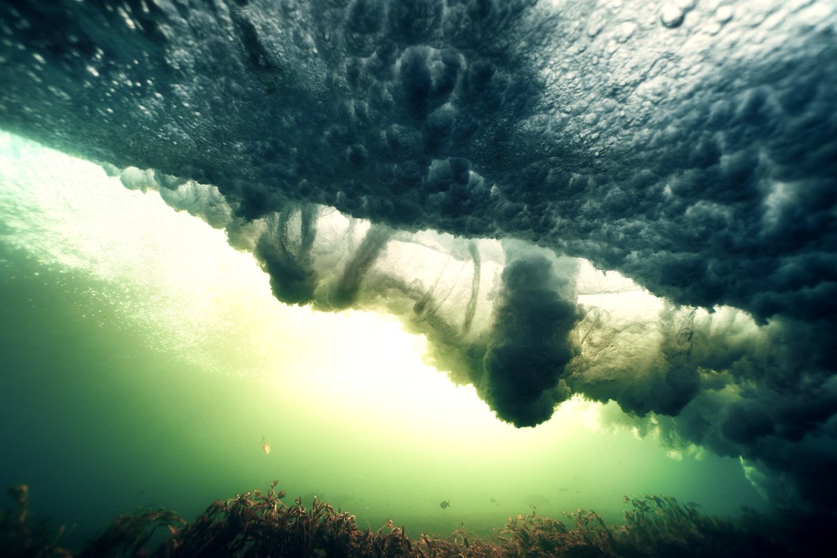 Jarvis Smallman tweet media