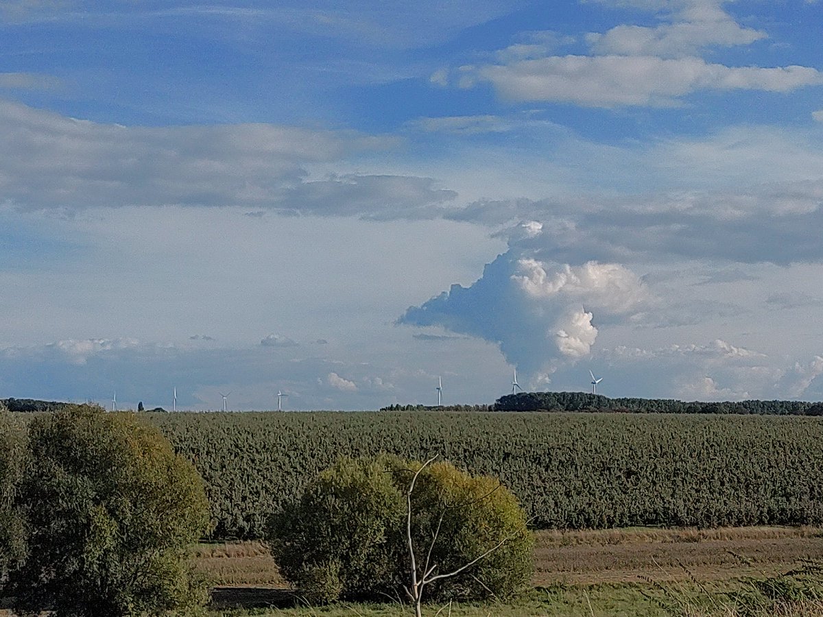 Eivissa749's tweet photo. Rook in het zuidoosten tijdens een avondwandeling. @Gingerneer2 zou het wellicht waarderen. ☺️ Tinne wellicht minder 😄😄 #kerncentrale #Tihange https://t.co/TuzT4Yacvo