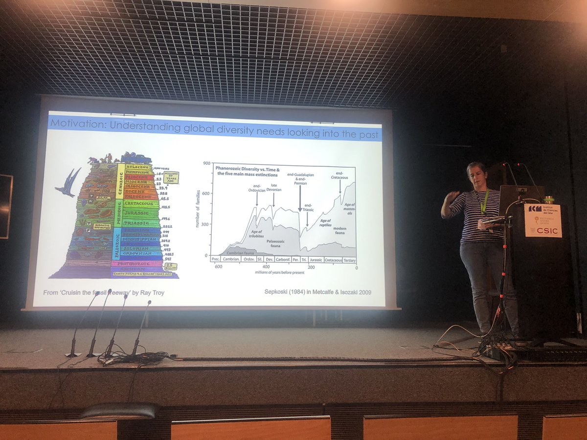 margalef_bcn's tweet photo. Day 4 of the #RMSC2022 ; new insights on the evolution of marine animals, blue carbon ecosystems and the effects of global change in the ocean. @CarmenComas6 @oserranogras @rahmstorf https://t.co/IiFFHUkPnI
