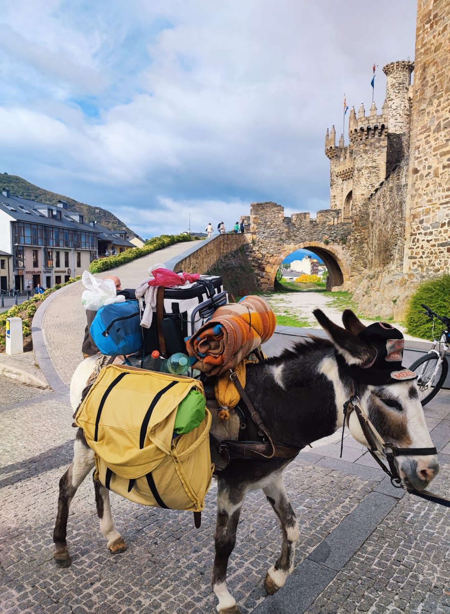 Buenos días. Feliz viernes!!!