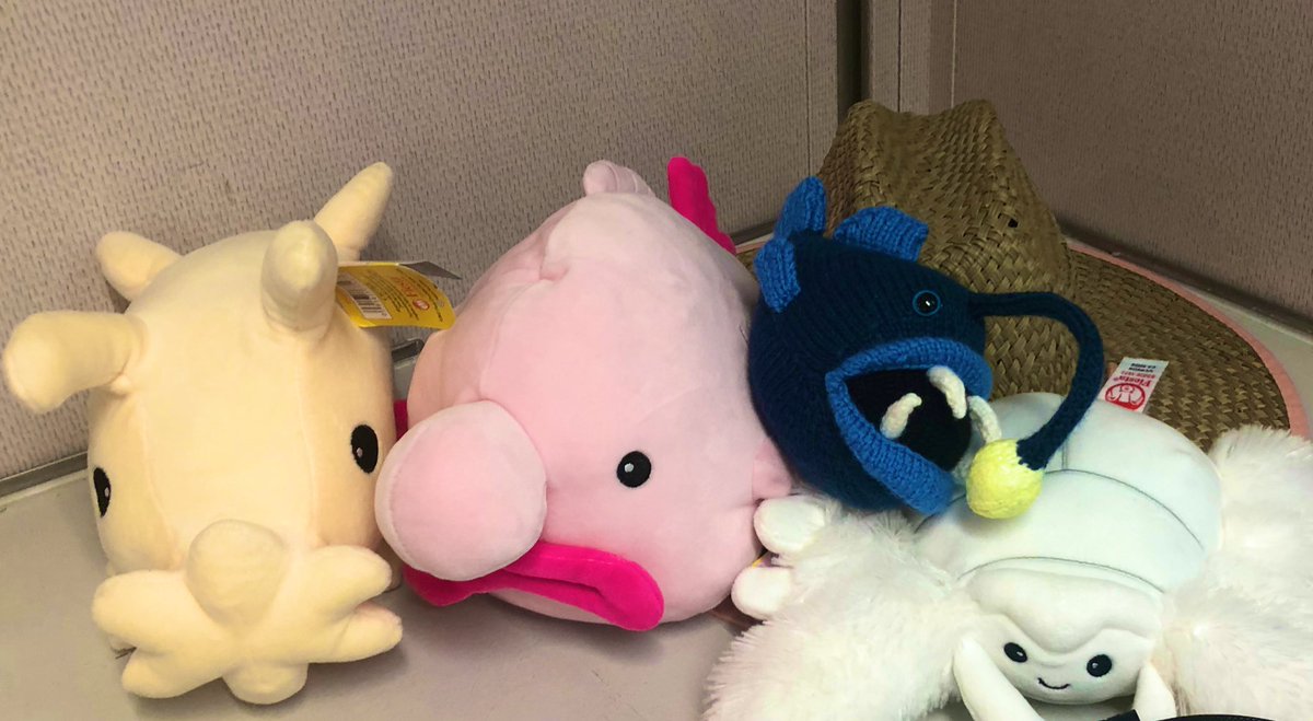 Mel Mackenzie tweet media