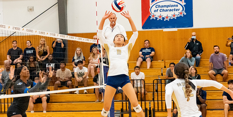 UC Merced Bobcats tweet media