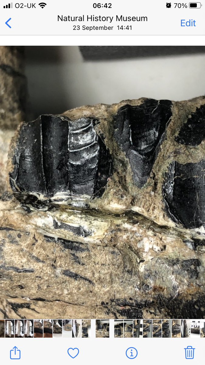 Jeremy Lockwood 🇺🇦 tweet media