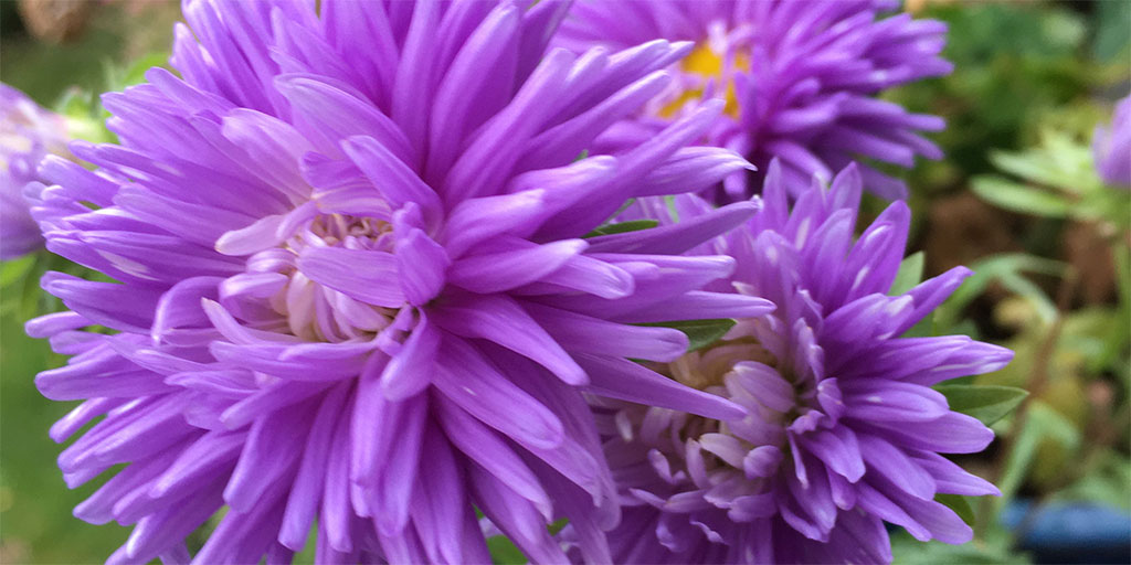 Hurra för Sveriges enda transparenta bank som firar 24 år idag! Tack alla kunder och medlemmar.
#ekobanken #bankingonvalues #födelsedag