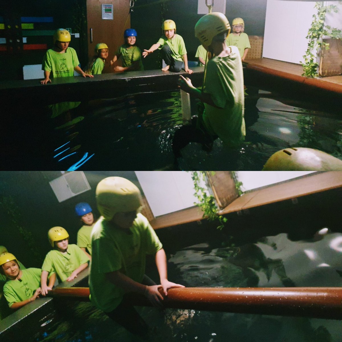 Year6TSP's tweet photo. Problem solving on point and that's the tooth! #PiranhaPool #MountainGroup https://t.co/MAGCx0ksL9