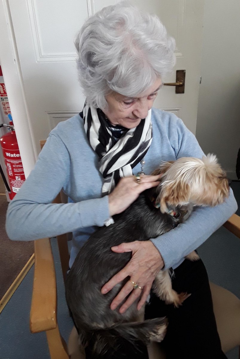 LifeCare_'s tweet photo. Who is enjoying the cuddles more?  Maureen or Olly?  It looks like it is 50/50.  Its a proven fact that stroking a pet can lower your blood pressure, half the amount of painkillers you need, reduce stress levels and just make you feel good. #petstherapy ##cuddles https://t.co/unke1ewy76