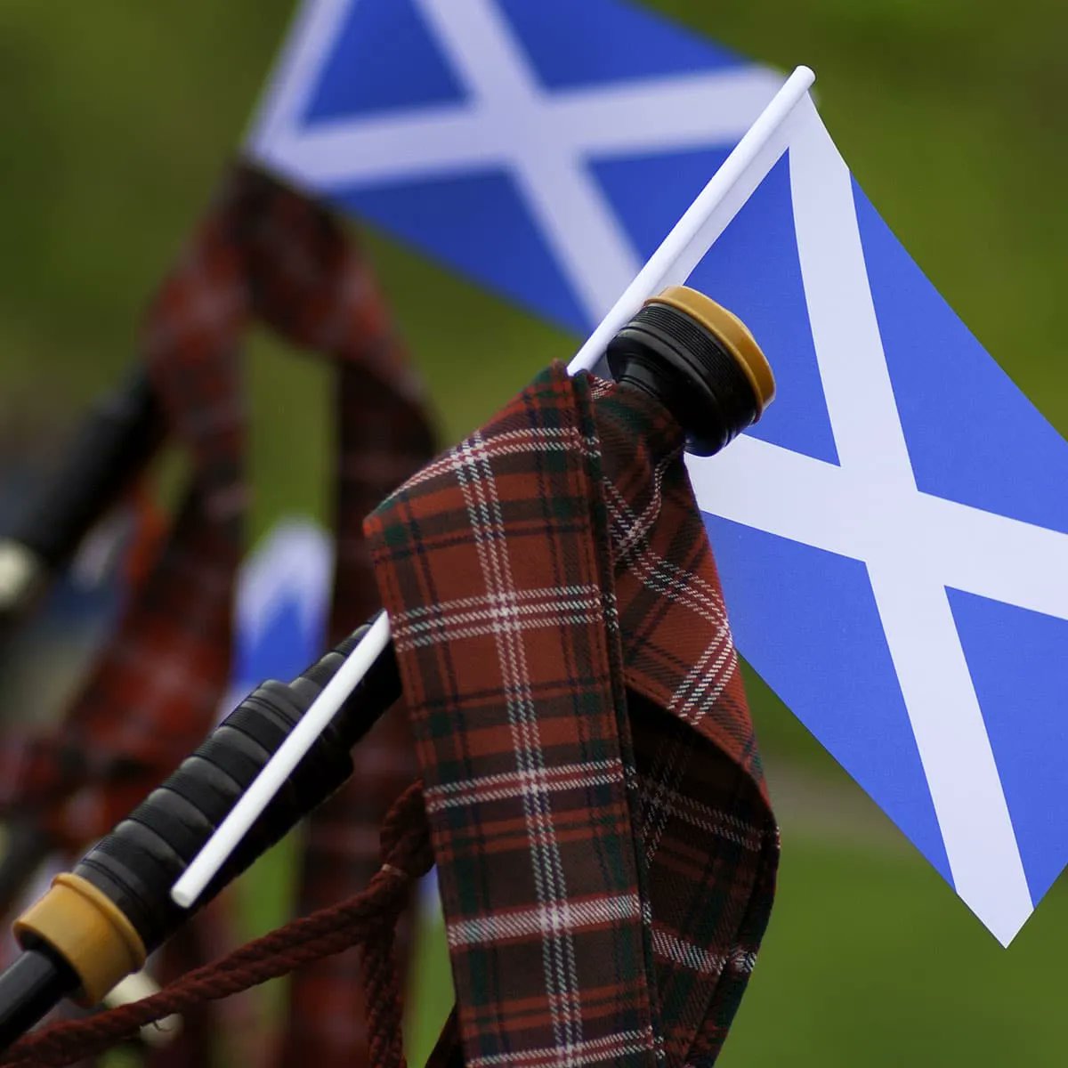 Happy St Andrew's Day to all of our scottish colleagues, clients and friends!