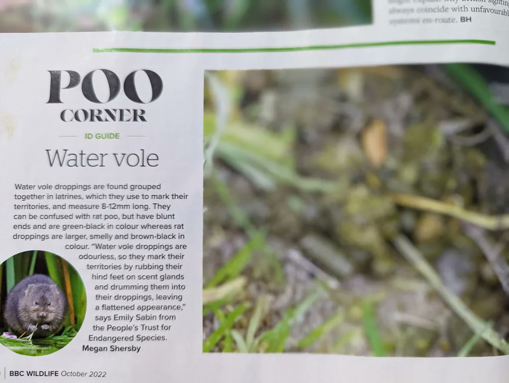 VioletTheVole's tweet photo. This is outrageous. Does anyone have the phone number of the editor at BBC Wildlife Magazine!?

I've never been so embarrassed.

😡😡😡 https://t.co/SnOdOnrDIB