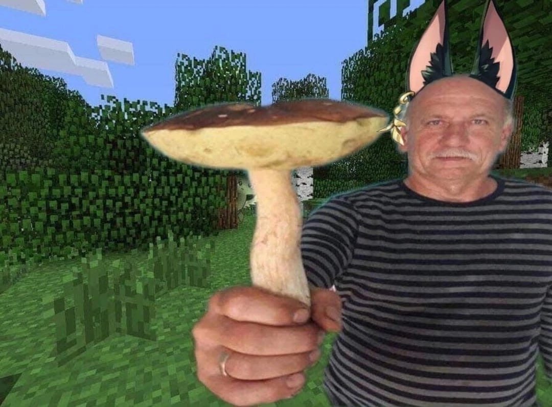 Буш гриб дед