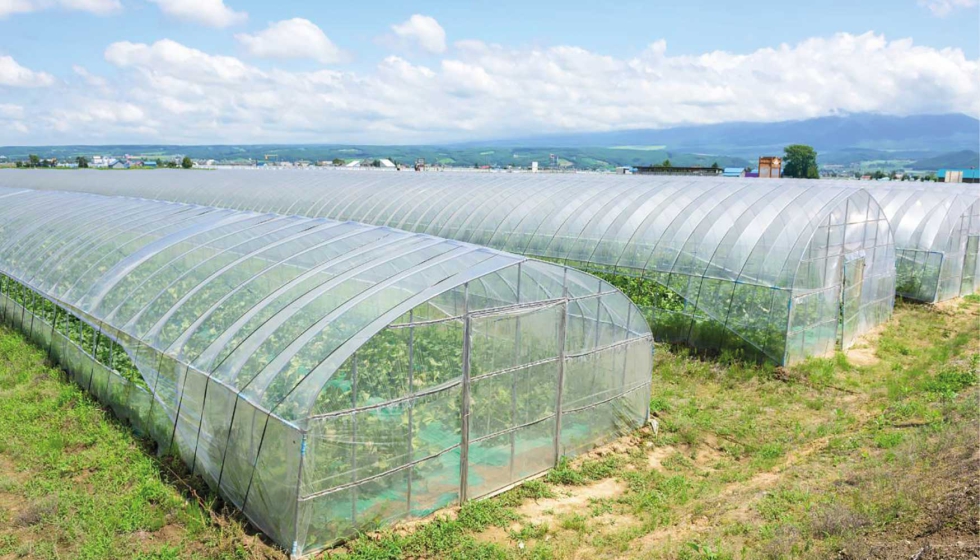 El #plástico en la agricultura tiene muchos usos y aplicaciones en dste sector.

Enterate de todos sus usos aquí 📢

ibpplastik.com/plasticos-en-l…